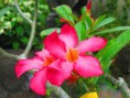 /album/fotogaleria/img-0484-jpg/