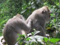 /album/ubud/img-2692-jpg/